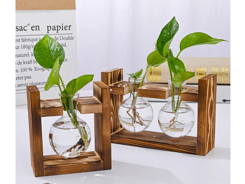 Wood Frame Hydroponic Vase Decor