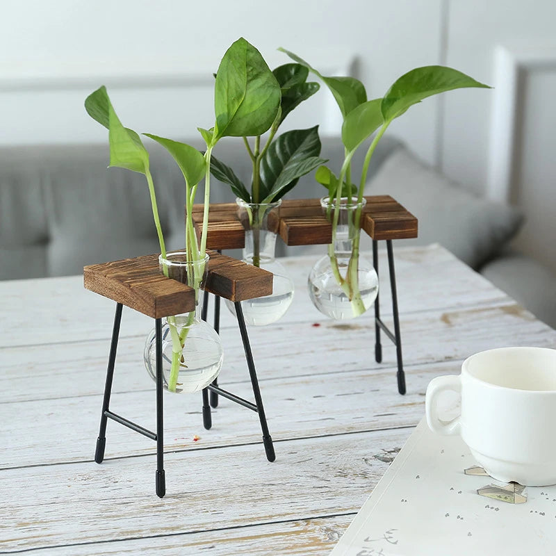 Wooden Frame Glass Bulb Planter