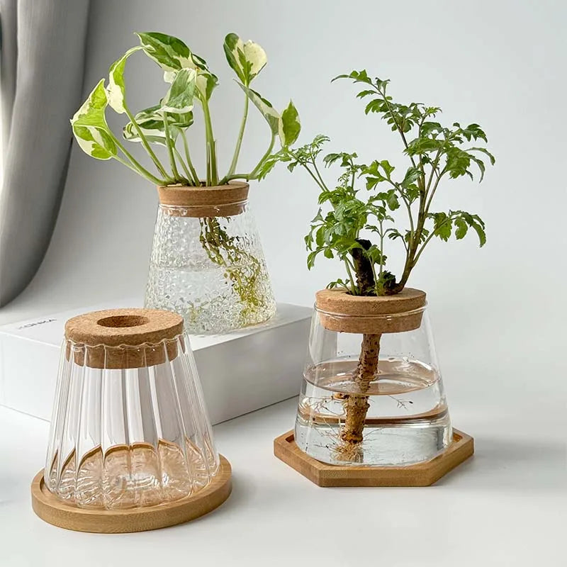 Nordic Hydroponic Volcano Vase Set