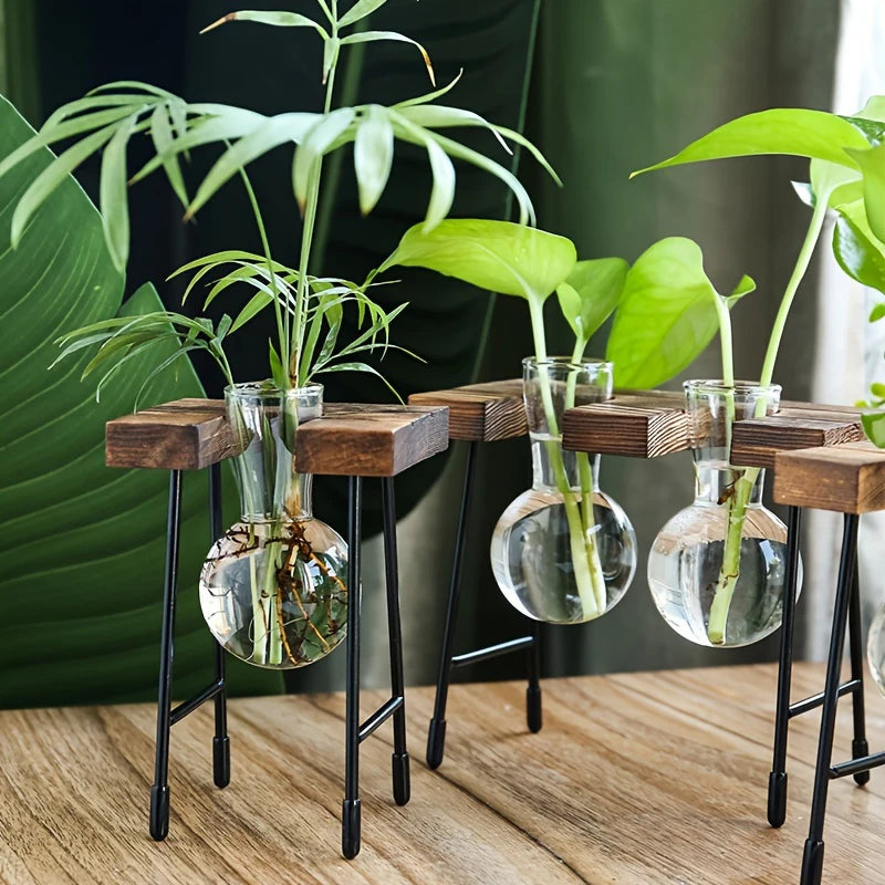 Wooden Frame Glass Bulb Planter