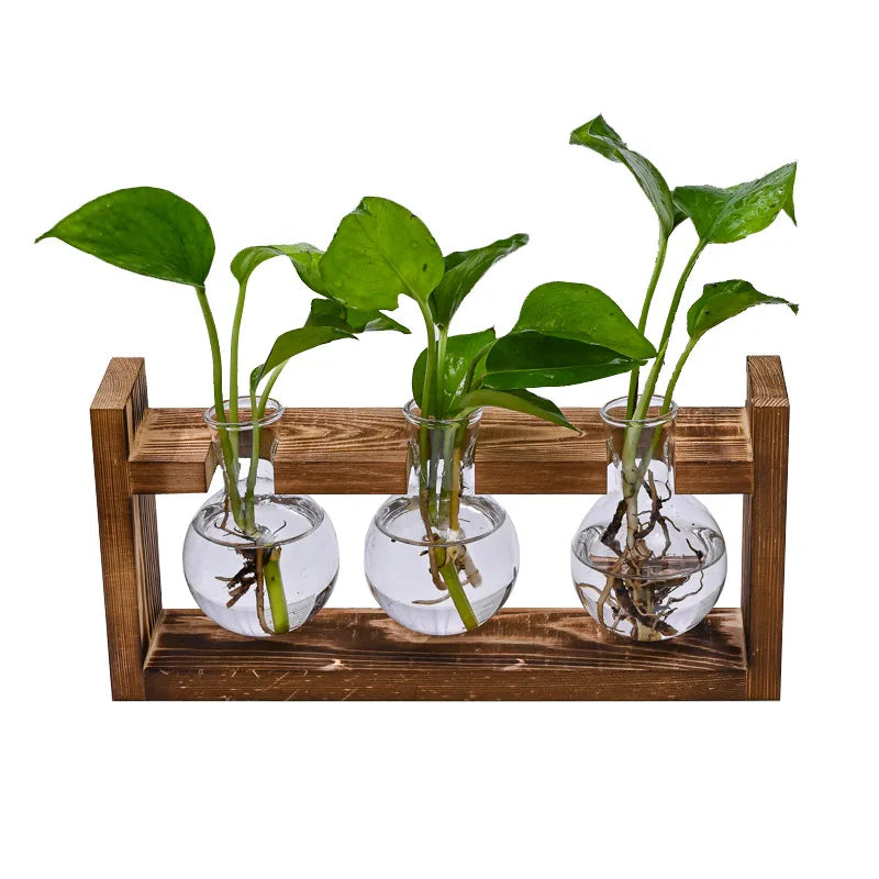 Wood Frame Hydroponic Vase Decor