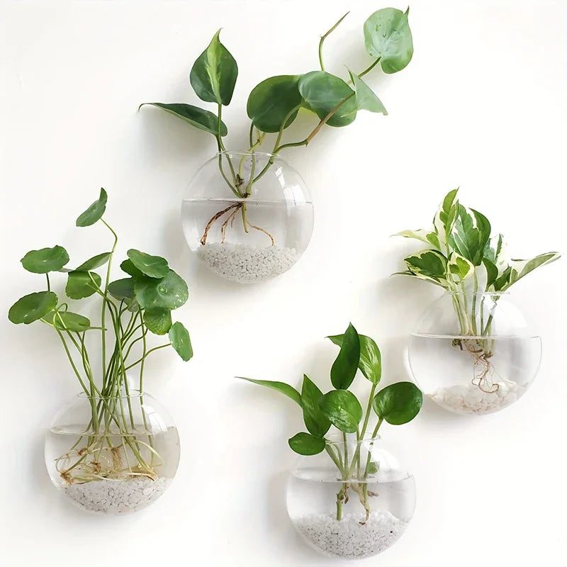 Hydroponic Glass Vase Wall Hanging