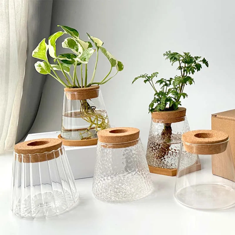 Nordic Hydroponic Volcano Vase Set