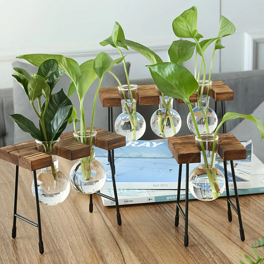 Wooden Frame Glass Bulb Planter