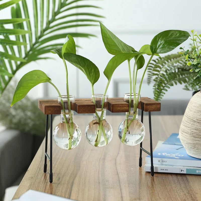 Wooden Frame Glass Bulb Planter