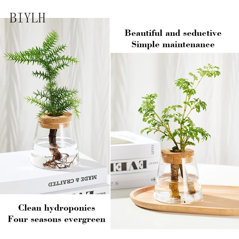 Nordic Hydroponic Volcano Vase Set