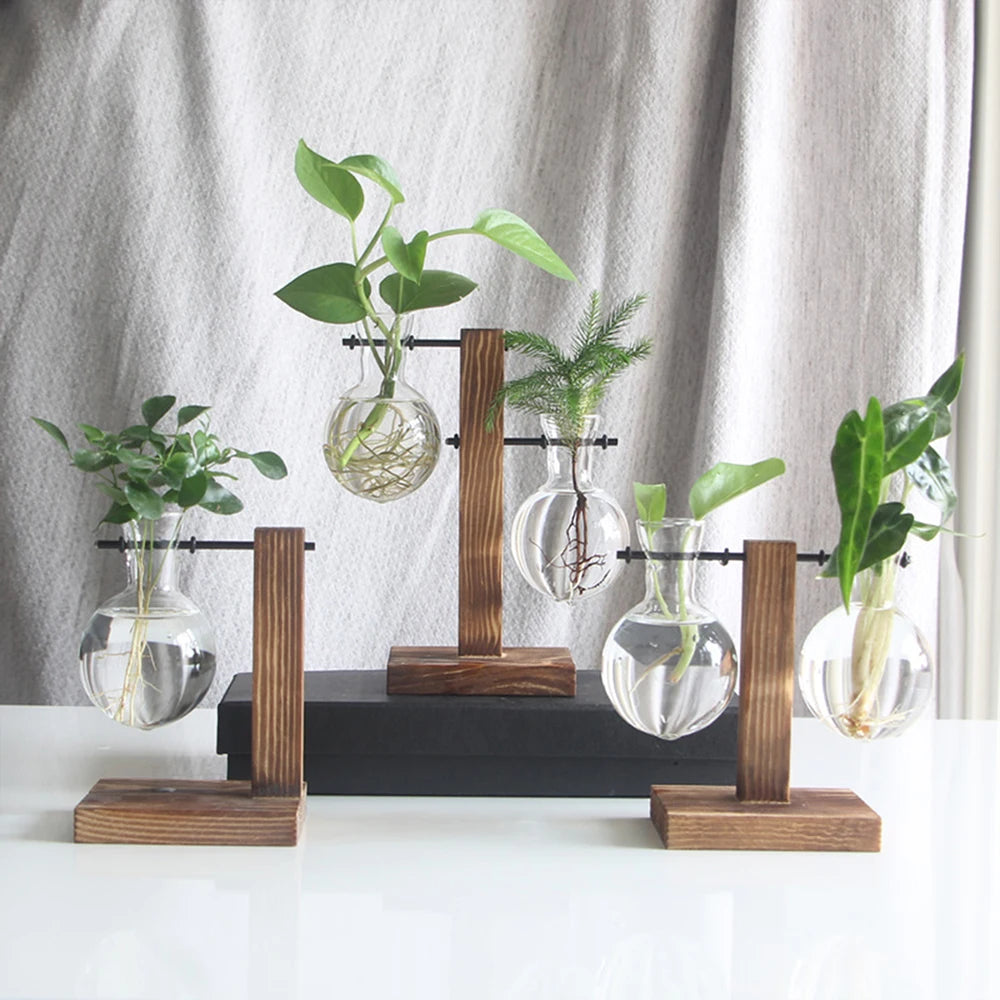 Creative Glass Bulb Vase with Wooden Stand