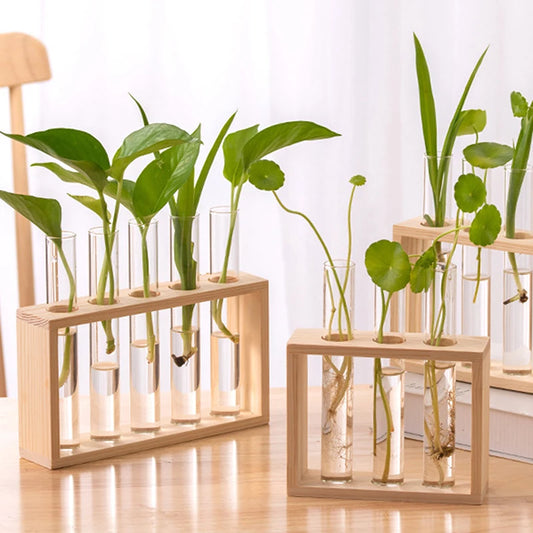 Wood Frame Test Tube Planter Set