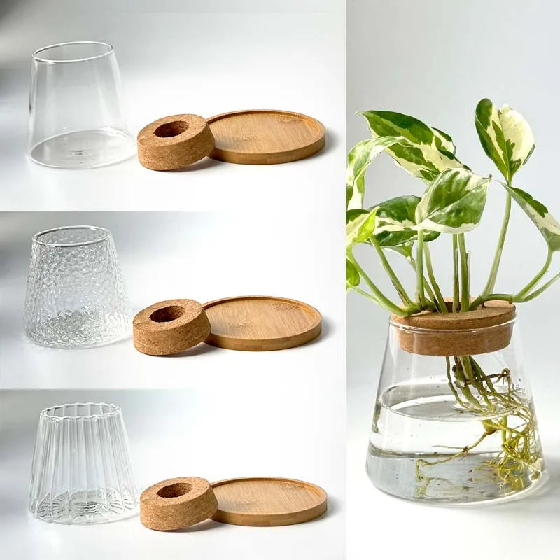 Nordic Hydroponic Volcano Vase Set