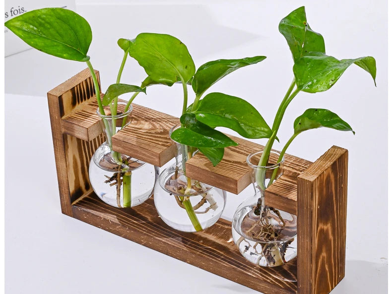 Wood Frame Hydroponic Vase Decor