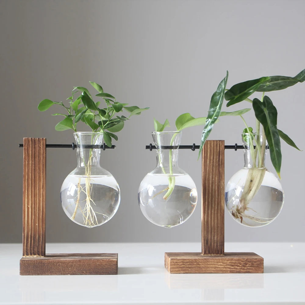 Creative Glass Bulb Vase with Wooden Stand