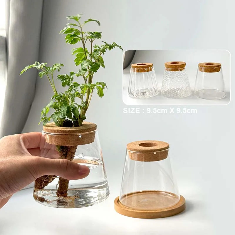 Nordic Hydroponic Volcano Vase Set