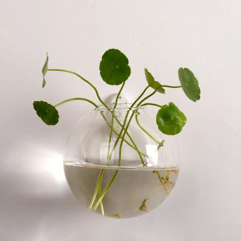 Hydroponic Glass Vase Wall Hanging