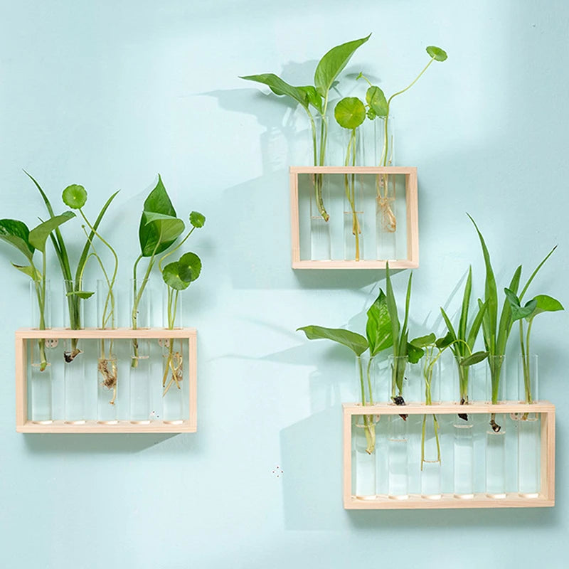 Wood Frame Test Tube Planter Set