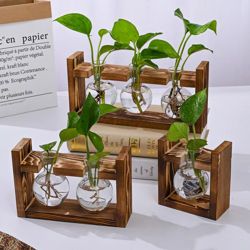 Wood Frame Hydroponic Vase Decor