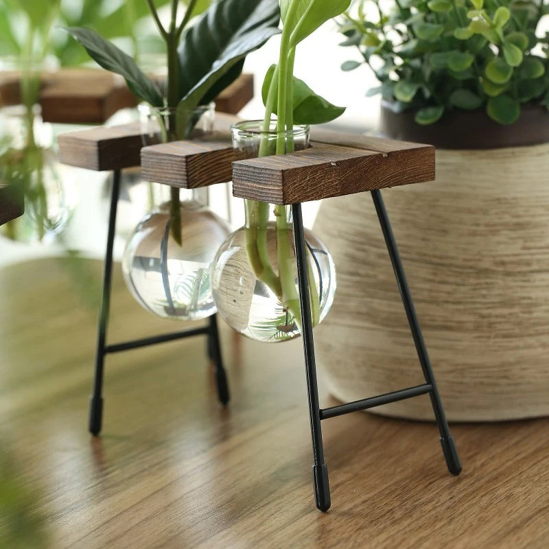 Wooden Frame Glass Bulb Planter