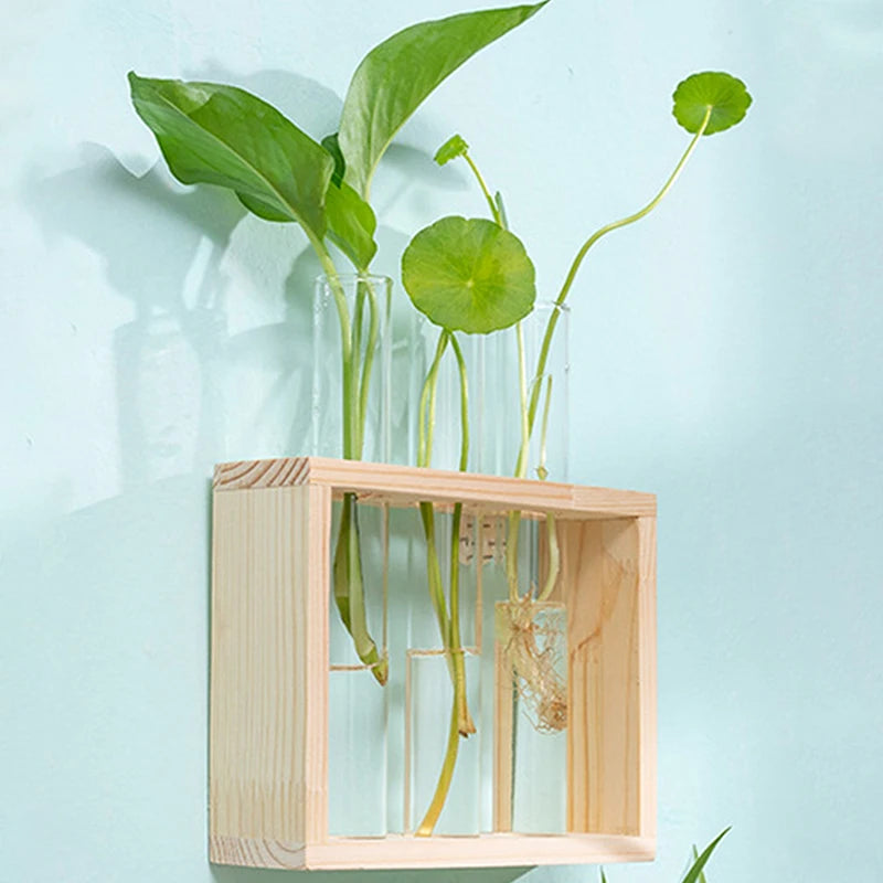 Wood Frame Test Tube Planter Set