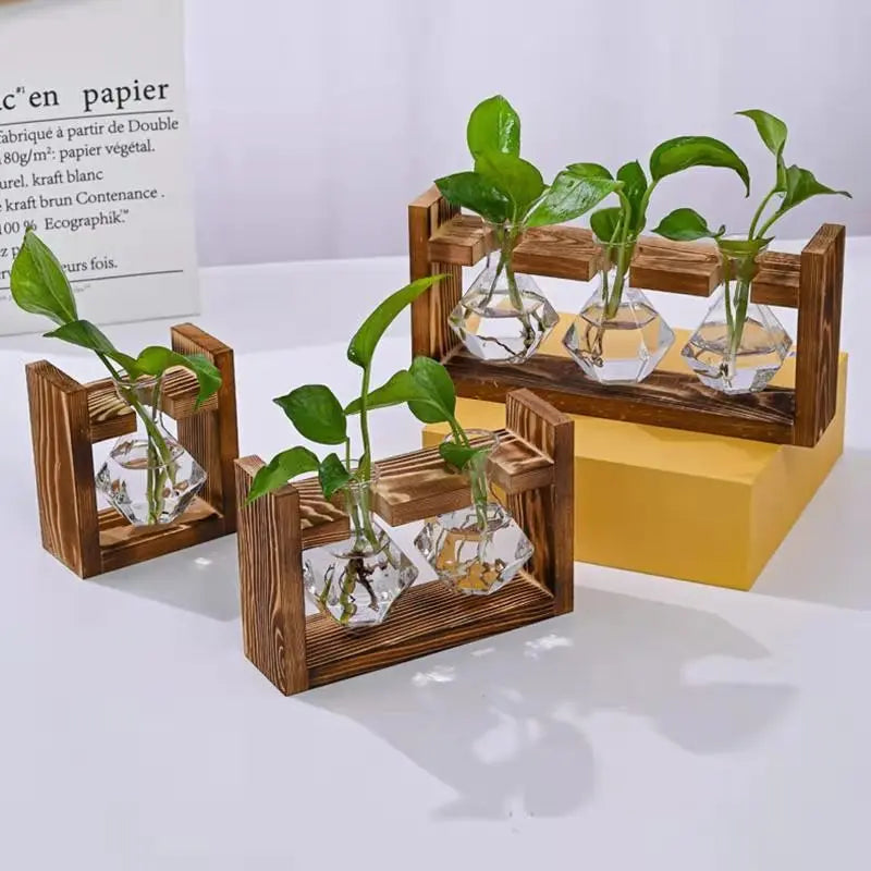 Wood Frame Hydroponic Vase Decor