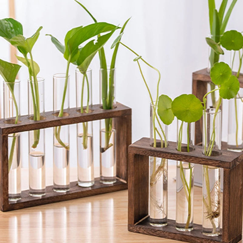 Wood Frame Test Tube Planter Set