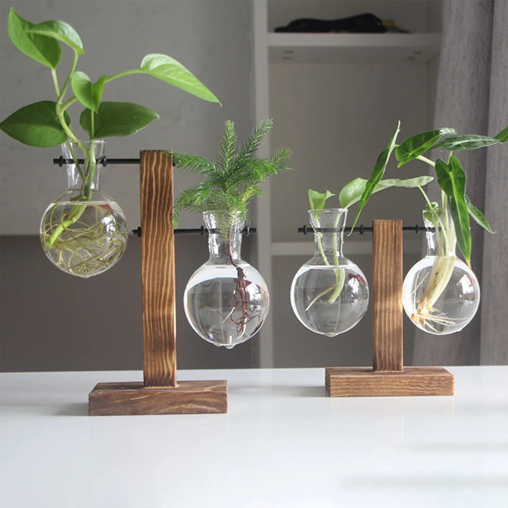 Creative Glass Bulb Vase with Wooden Stand